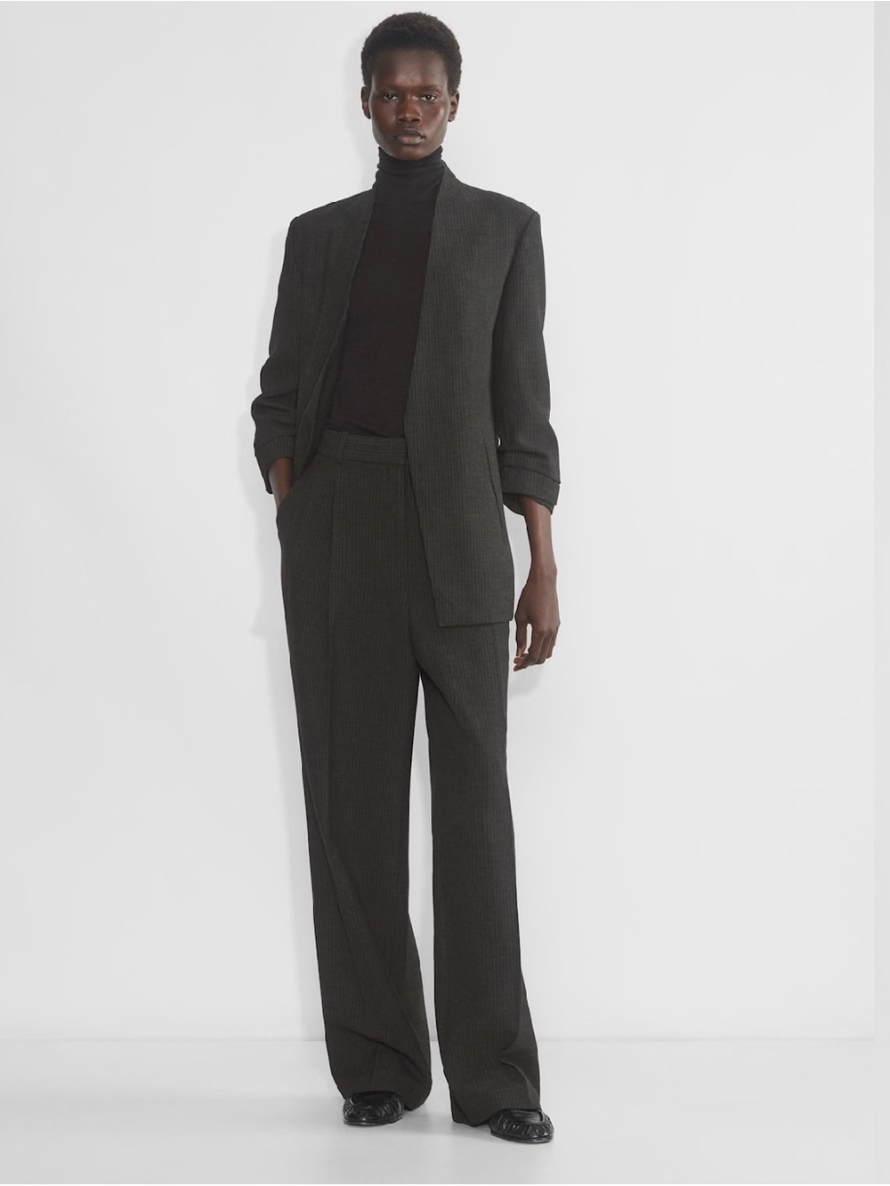 Aritzia Babaton Power Blazer And Pants Set